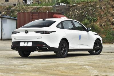 2023款 蓝鲸NE 1.5T GDI DCT尊享型-外观-图片-有驾