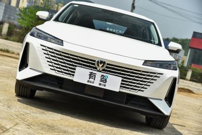 2023款 蓝鲸NE 1.5T GDI DCT尊享型-外观-图片-有驾