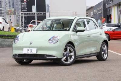 2022款 莫兰迪版 500km长续航 尊贵型 三元锂-外观-图片-有驾 2022款 莫兰迪版 500km长续航 尊贵型 三元锂-外观-图片-有驾