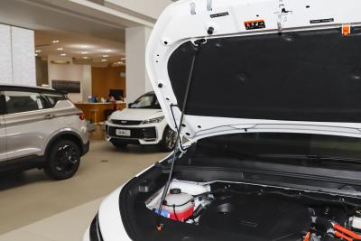 2026款 220km 长续航铂金增程智享版-外观-图片-有驾