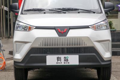 2021款 5座版宁德41.86kWh-外观-图片-有驾