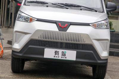 2021款 5座版宁德41.86kWh-外观-图片-有驾