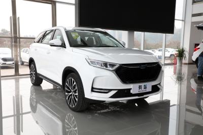 2021款 1.5T 自动领航型-外观-图片-有驾