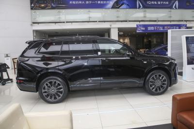 2025款 2.0T 六座四驱铂金行政黑标版-外观-图片-有驾