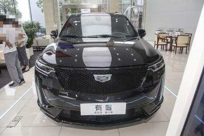 2025款 2.0T 六座四驱铂金行政黑标版-外观-图片-有驾