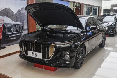 2025款 2.0T 两驱旗畅私享风尚版 5座-外观-图片-有驾