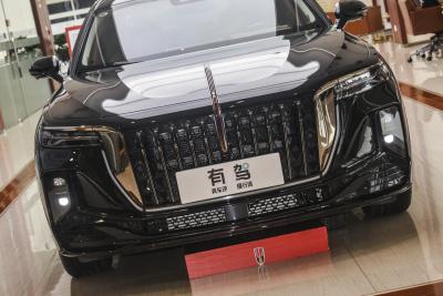 2025款 2.0T 两驱旗畅私享风尚版 5座-外观-图片-有驾