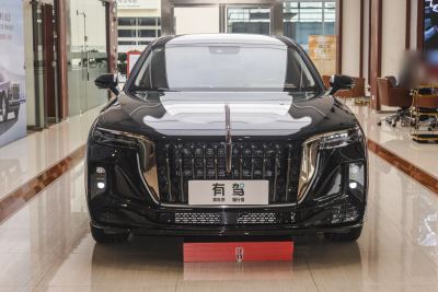 2025款 2.0T 两驱旗畅私享风尚版 5座-外观-图片-有驾