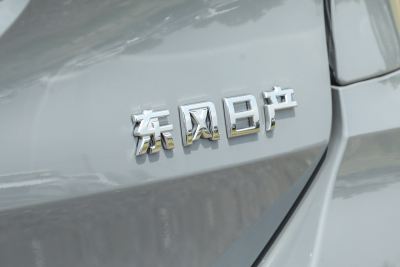 2025款 荣誉 2.0L 两驱领先版-外观-图片-有驾