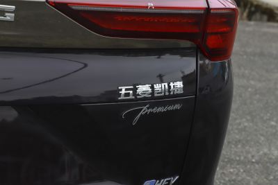 2023款 2.0L DHT奢享型-外观-图片-有驾