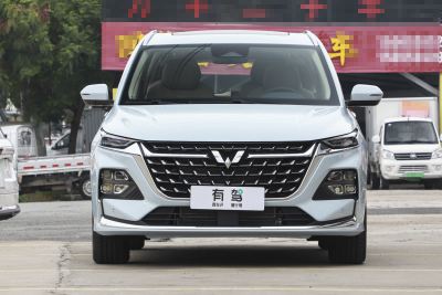 2023款 2.0L DHT奢享型-外观-图片-有驾