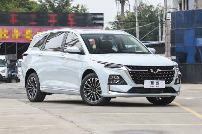 2023款 2.0L DHT奢享型-外观-图片-有驾