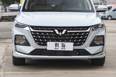 2023款 2.0L DHT奢享型-外观-图片-有驾