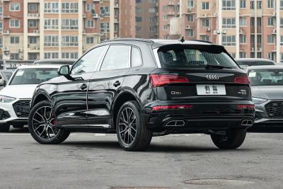 2025款 quattro 45周年典藏版 45 TFSI 豪华动感型-外观-图片-有驾