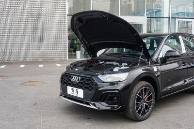 2025款 quattro 45周年典藏版 45 TFSI 豪华动感型-外观-图片-有驾