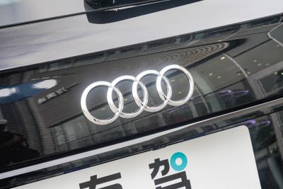 2025款 quattro 45周年典藏版 45 TFSI 豪华动感型-外观-图片-有驾