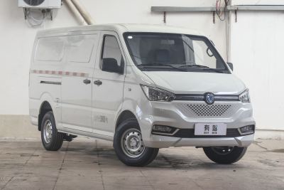 2023款 高配版 41.86kWh 宁德时代-外观-图片-有驾