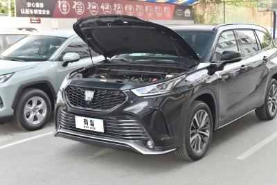 2024款 2.5L HEV四驱尊贵版-外观-图片-有驾