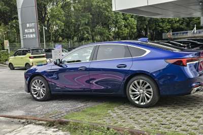 2026款 白金艾维亚版-外观-图片-有驾