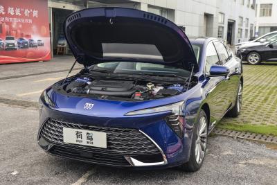 2026款 白金艾维亚版-外观-图片-有驾