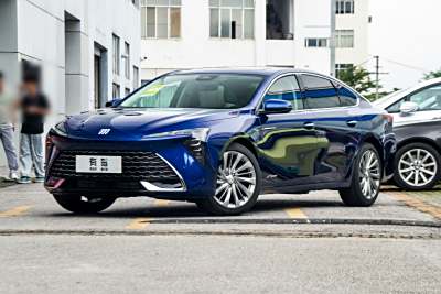 2026款 白金艾维亚版-外观-图片-有驾