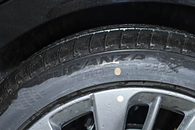 2026款 白金艾维亚版-外观-图片-有驾