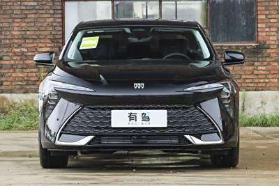 2026款 白金艾维亚版-外观-图片-有驾