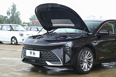 2026款 白金艾维亚版-外观-图片-有驾