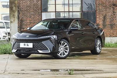 2026款 白金艾维亚版-外观-图片-有驾