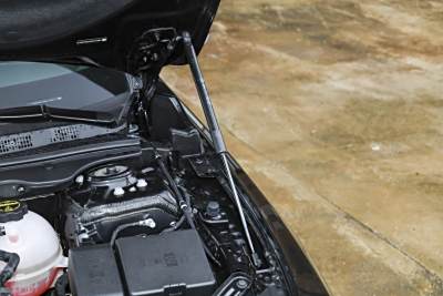 2026款 白金艾维亚版-外观-图片-有驾