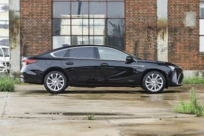 2026款 白金艾维亚版-外观-图片-有驾