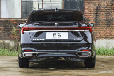 2026款 白金艾维亚版-外观-图片-有驾