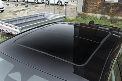 2026款 白金艾维亚版-外观-图片-有驾