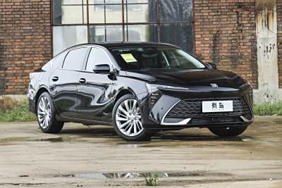 2026款 白金艾维亚版-外观-图片-有驾