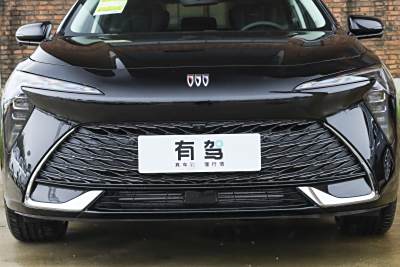 2026款 白金艾维亚版-外观-图片-有驾