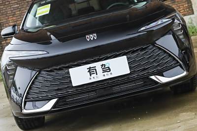 2026款 白金艾维亚版-外观-图片-有驾