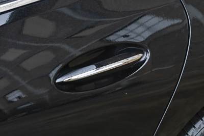 2026款 白金艾维亚版-外观-图片-有驾