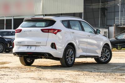 2022款 1.5T 手动亚马逊版 5座-外观-图片-有驾