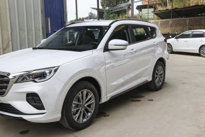 2022款 1.5T 手动亚马逊版 5座-外观-图片-有驾