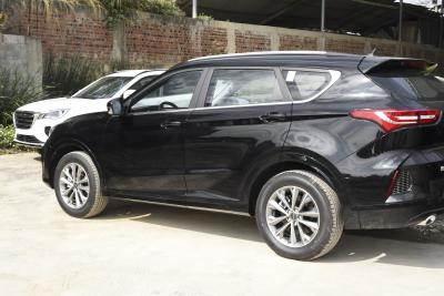 2022款 1.5T 手动亚马逊版 5座-外观-图片-有驾