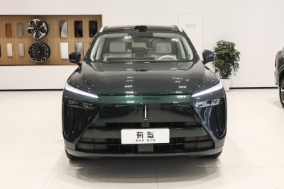2025款 四驱 Max-外观-图片-有驾