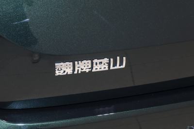 2025款 四驱 Max-外观-图片-有驾