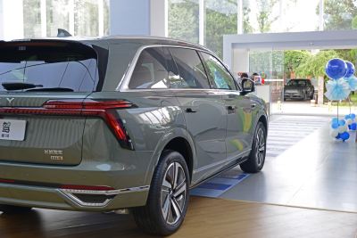 2025款 四驱 Max-外观-图片-有驾