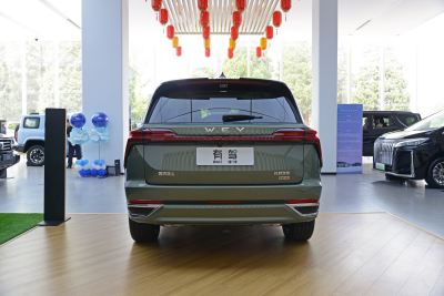 2025款 四驱 Max-外观-图片-有驾