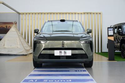 2025款 四驱 Max-外观-图片-有驾