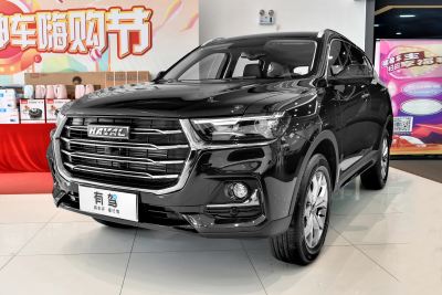 2021款 国潮版 1.5GDIT 自动冠军版-外观-图片-有驾 2021款 国潮版 1.5GDIT 自动冠军版-外观-图片-有驾