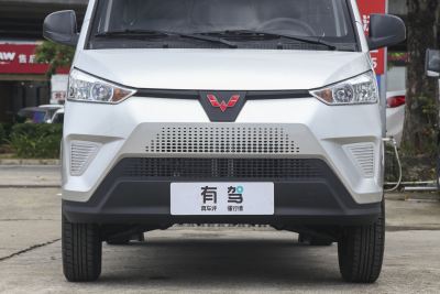 2022款 尊享型国轩40.55kWh-外观-图片-有驾