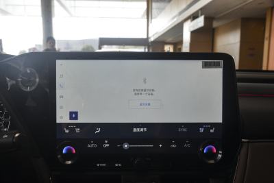 2025款 300h 臻享版-内饰-图片-有驾