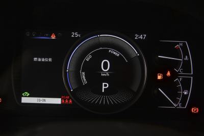 2025款 300h 臻享版-内饰-图片-有驾