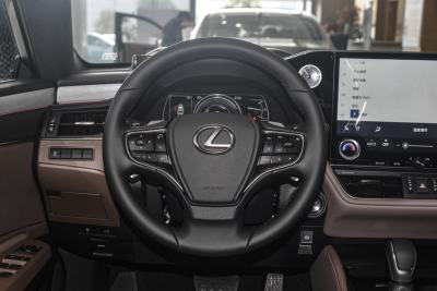 2025款 300h 臻享版-内饰-图片-有驾